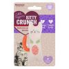 Rosewood Little Nippers Kitty Crunch
