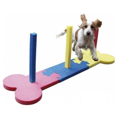 Rosewood Small Dog Agility Slalom
