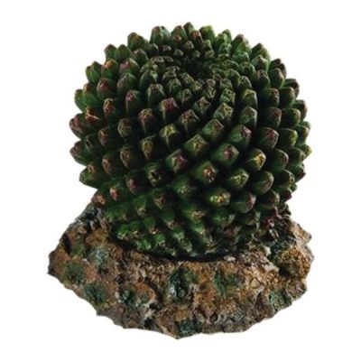 RepStyle Cactus with Rock Base
