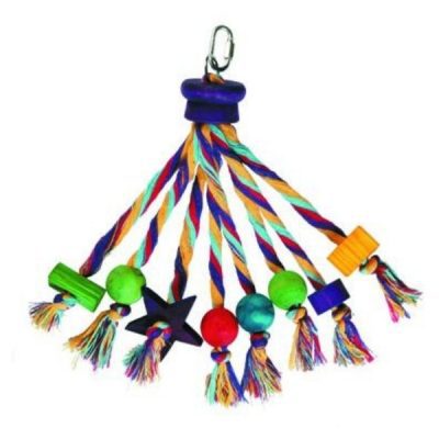 Happy Pet Carnival