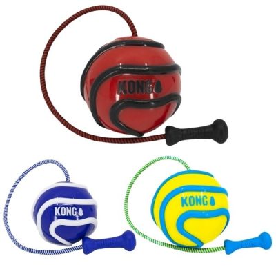 KONG Wavz Bunji Ball