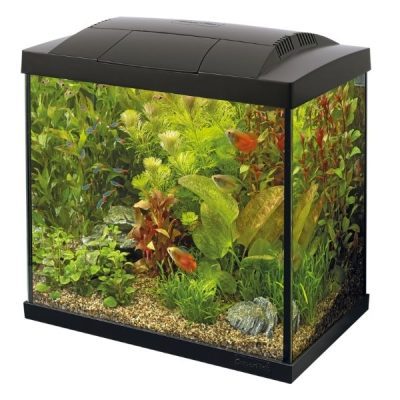 Superfish Start 30 Tropical Aquarium Kit Black