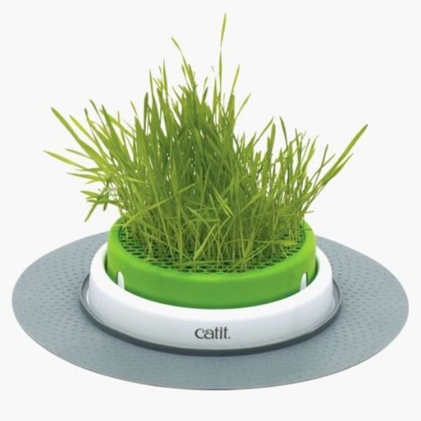 Catit Senses Grass Planter 2.0