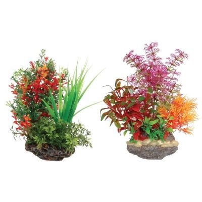 Aqua Spectra Sucker Mount Plant & Rock Base