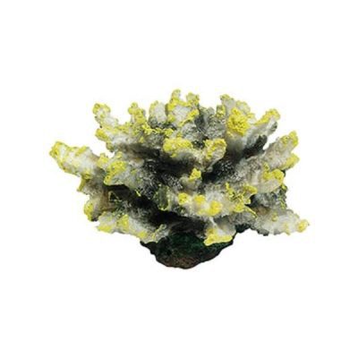 Aqua Spectra Coral Yellow