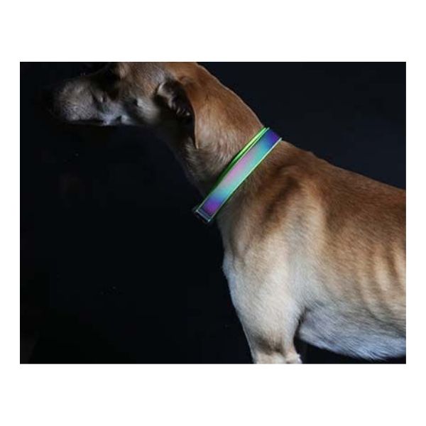 Go Walk Reflective Rainbow Dog Collar