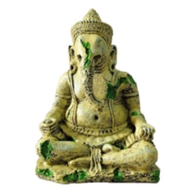 Hugo Kamishi Ganesha