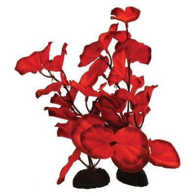 Hugo Kamishi Lily Red Silk Plant