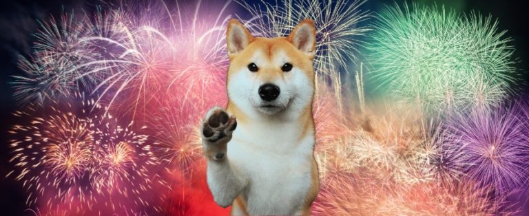 Top 5 Ways to Keep Your Pet Happy During Firework Season