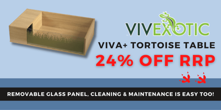 Viv-Exotic VIVA+ Tortoise Table
