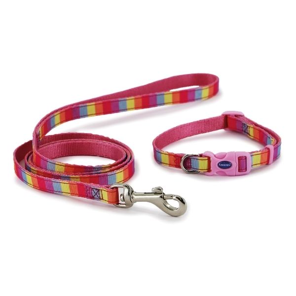 Ancol Small Bite Rainbow Collar & Lead Set