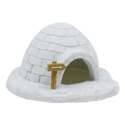 Hugo Kamishi Igloo