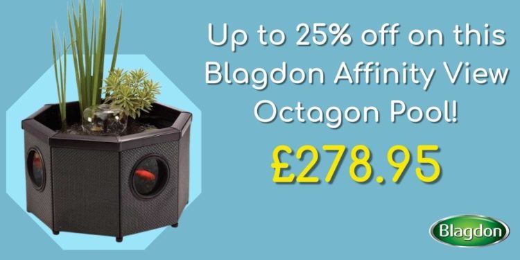 Blagdon Affinity View Octagon Pool - Special Offer