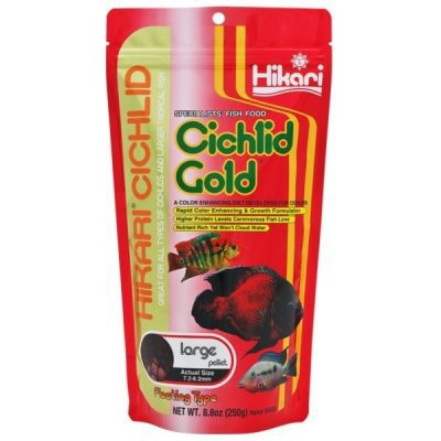 Hikari Cichlid Gold - Large