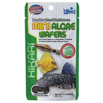 Hikari Mini Algae Wafers 22g