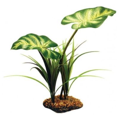 Komodo Broadleaf Canopy