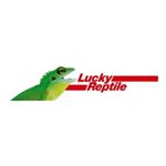 Lucky Reptile
