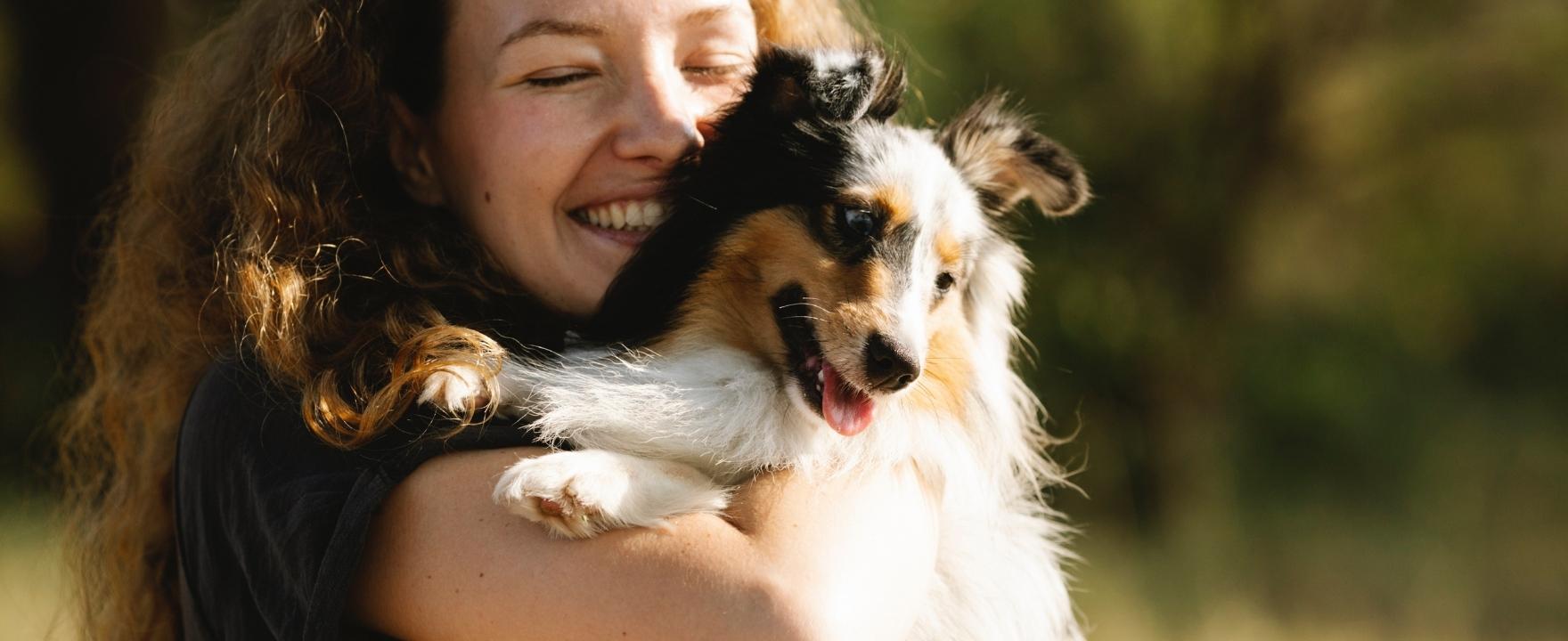 Guest Blog Top Tips for Grooming Long Coated Dogs