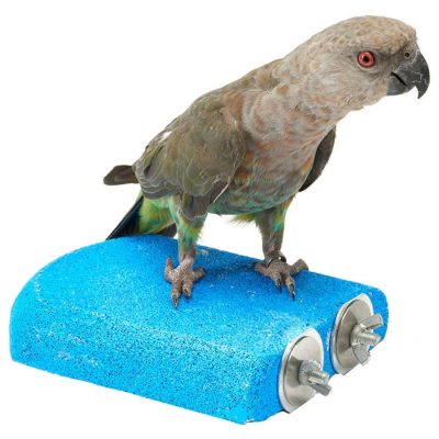 Sky Pets Sanded Shelf - HugglePets