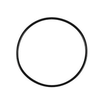 Motor Seal Ring 307/407