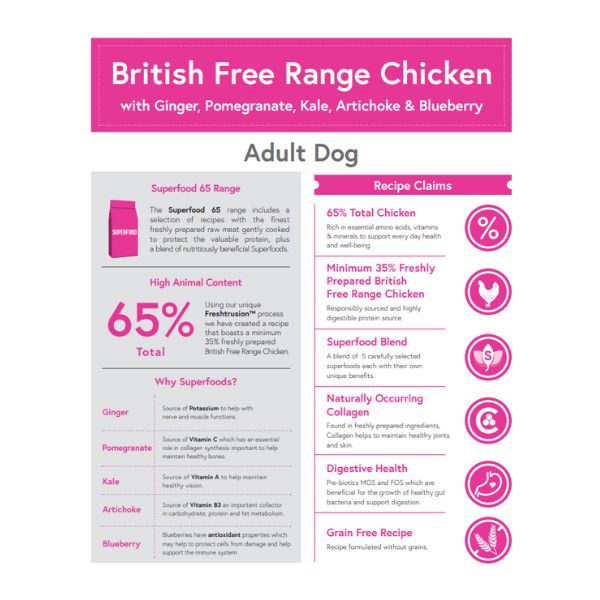 British Chicken Adult Dog