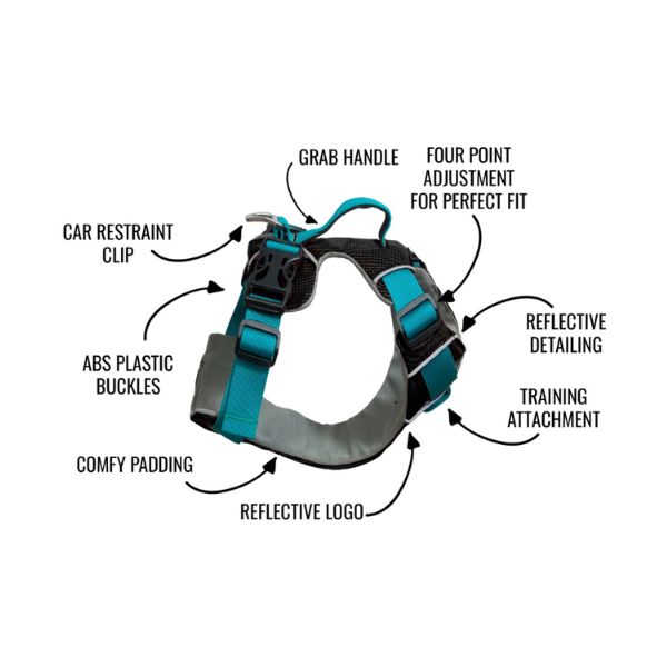 Sotnos triple safety harness guide