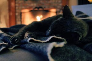 a cat sleeping by a fireplace