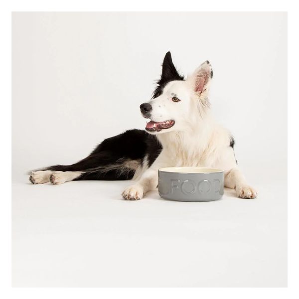 Scruffs Classic Dog Food Bowl