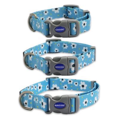 Ancol Daisy Patterned Dog Collar