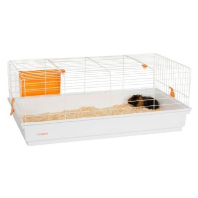 Liberta Capella 100cm Indoor Rabbit Cage