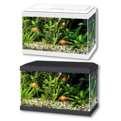 Ciano Aqua 20 Aquarium With LED Light 17L