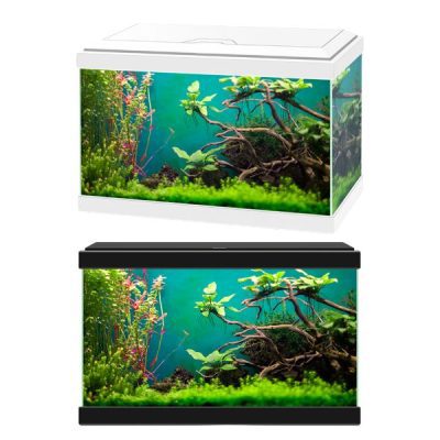 Aqua One OptiClear Fish Tank - Low Profile Rectangle - HugglePets