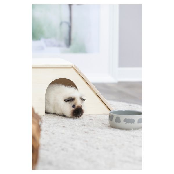 Trixie Ceramic Bowl for Guinea Pigs - Image 6