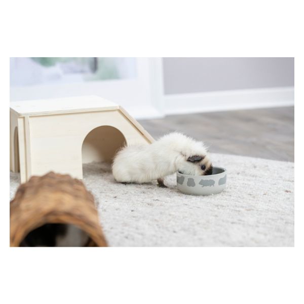 Trixie Ceramic Bowl for Guinea Pigs