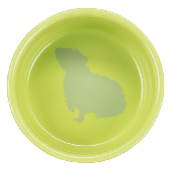 Trixie Ceramic Bowl for Guinea Pigs