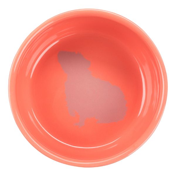Trixie Ceramic Bowl for Guinea Pigs - Image 3