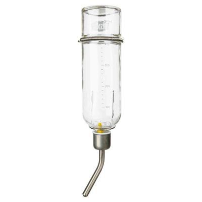 Trixie Glass Water Bottle