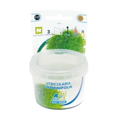 Aquafleur Easy Grow Utricularia Graminifolia