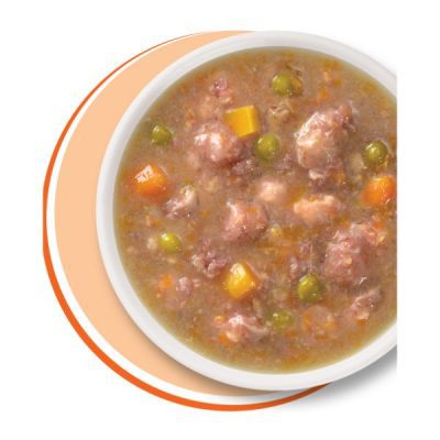 Catit Cuisine Stew chicken