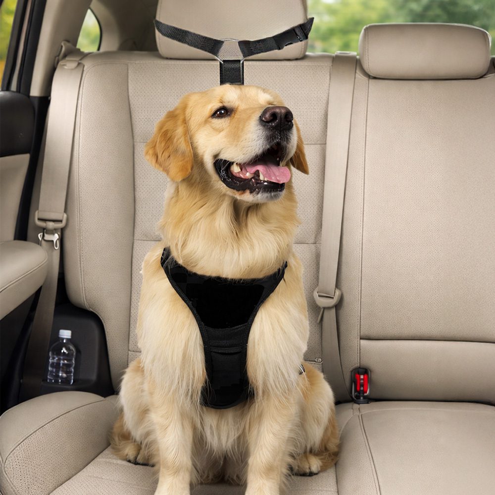 HugglePets Dog Travel Seat Belt - Image 3
