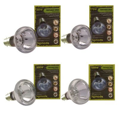 Komodo Neodymium Daylight Spot Bulb