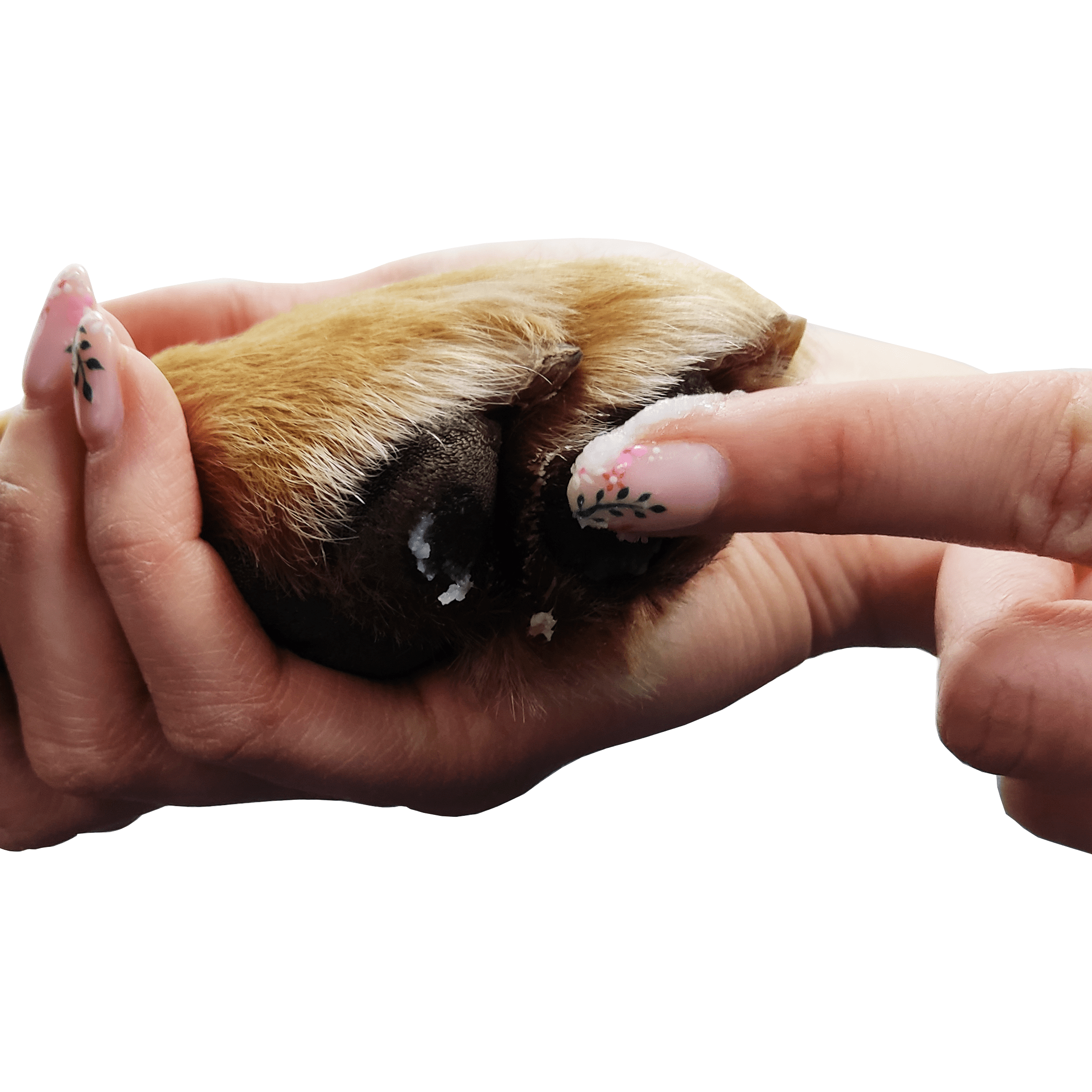 HugglePets Bubbly Tails Paw & Nose Balm - Image 7