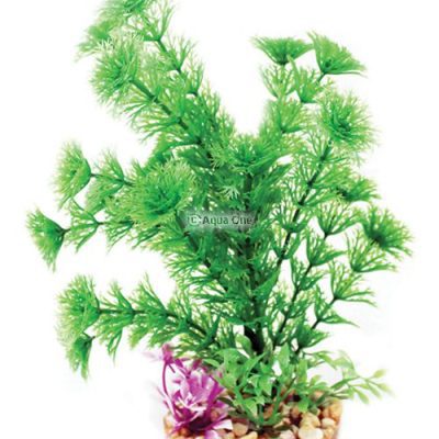 Aqua One Vibrance Plant Ambulia with Gravel Base