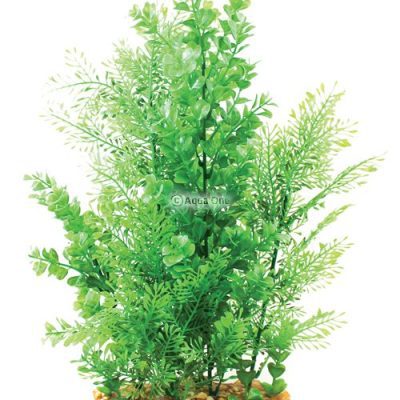 Aqua One Vibrance Plant Wisteria Bacopa with Gravel Base