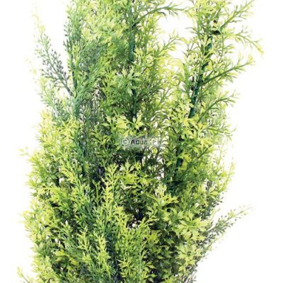 Aqua One Vibrance Plant Hygrophila Ludwigia XL with Gravel Base
