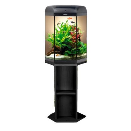 MAGNET NORI ALGEN HALTER   PLEXIGLAS® 150x140mm Model SEAHORSE Für Aquarien EUR 29,95   PicClick DE