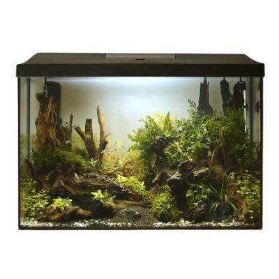 AquaEl Leddy 60XL