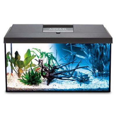 AquaEl Leddy 60 Aquarium