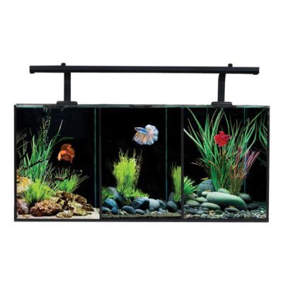 Aqua One Betta Trio Aquarium