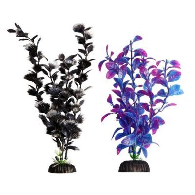 Aqua One Brightscape Hygro Plants 20cm